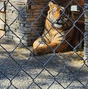 Meet your Posher, Brenda